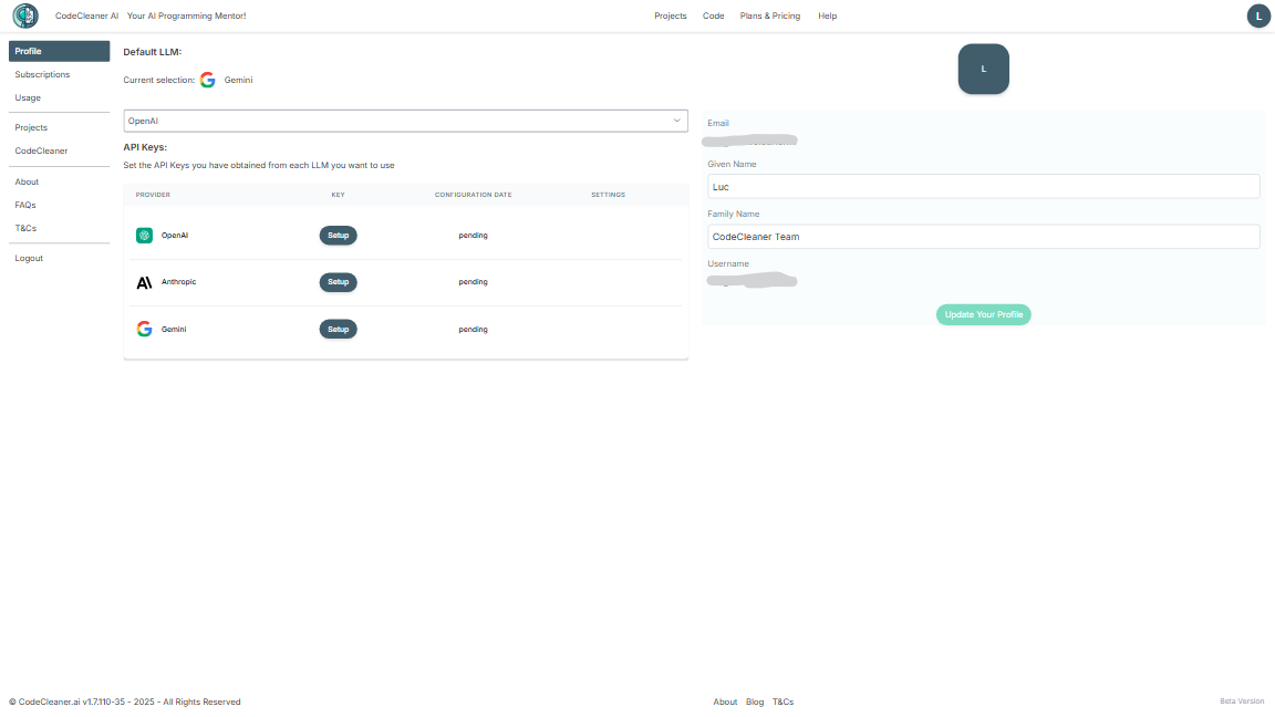 CodeCleaner AI - profile page