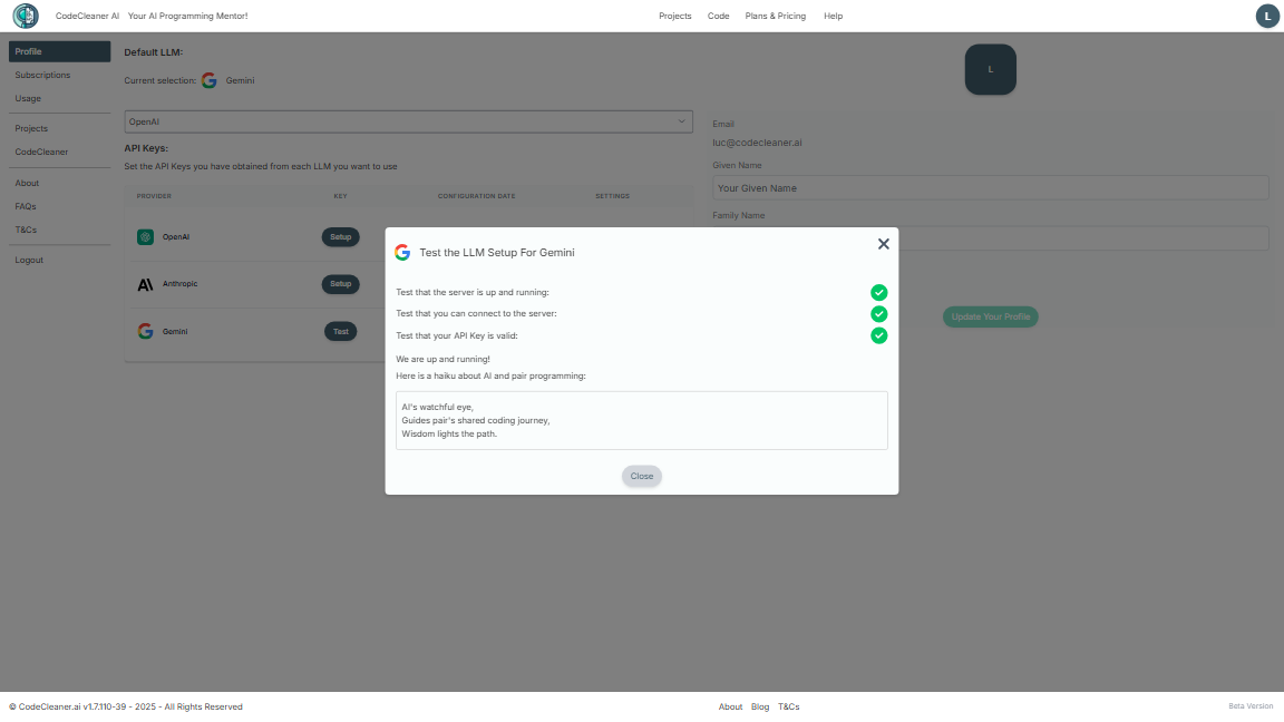 Google Gemini Test Setup Success