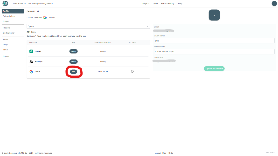 Google Gemini Test Setup