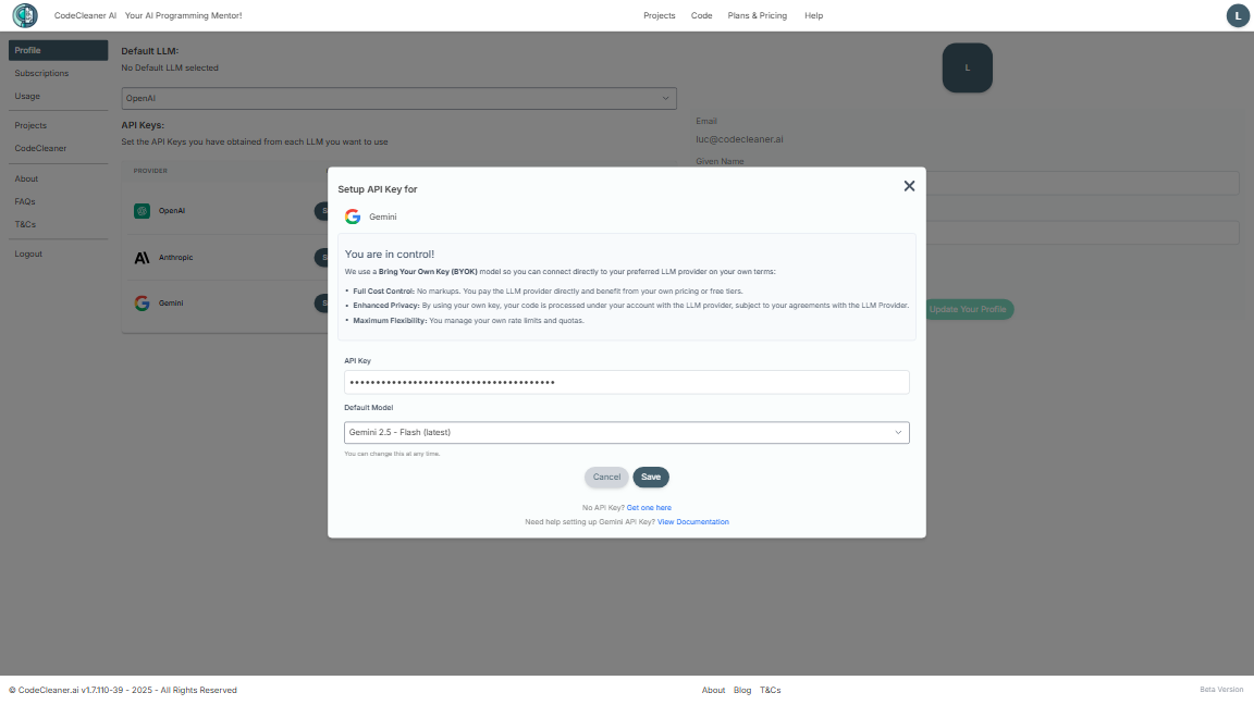 Google Gemini Setup