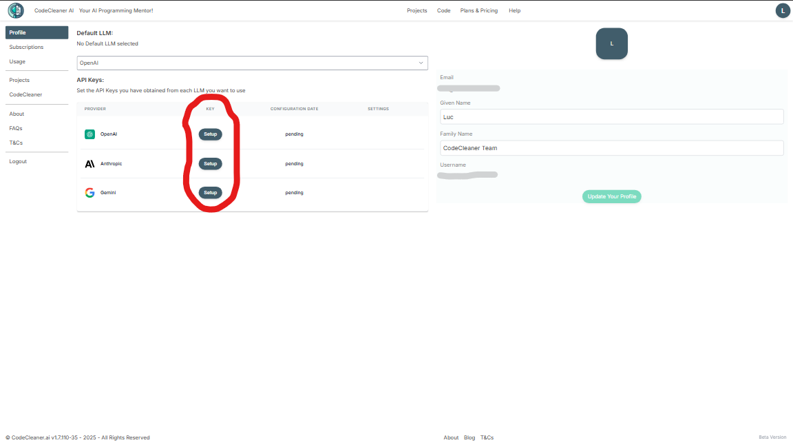Profile Page - LLMs Section